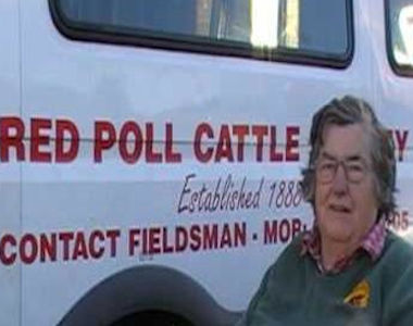 Red Poll Cattle Information, History & Rearing with Diana Flack